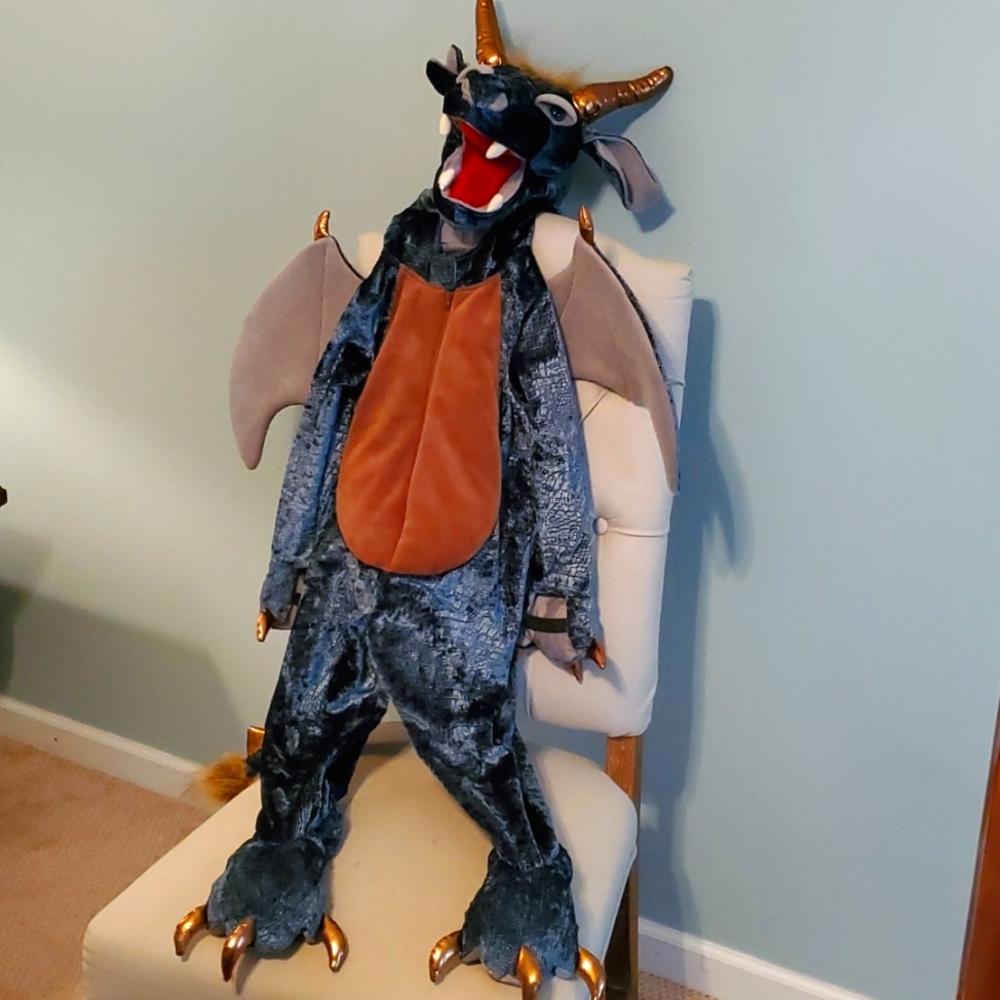 FAO Schwartz 4T Dragon costume. Texture Dark Teal metalic velvety material.